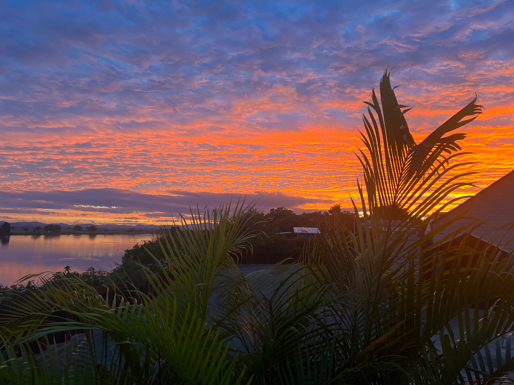 What’s On At The Garden